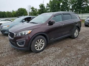  Salvage Kia Sorento