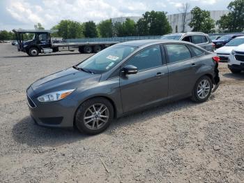  Salvage Ford Focus