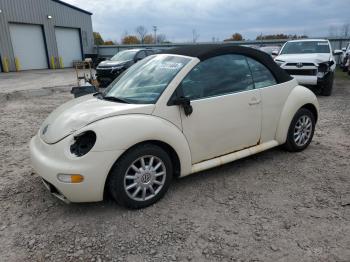  Salvage Volkswagen Beetle