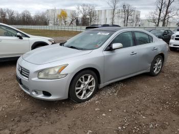  Salvage Nissan Maxima