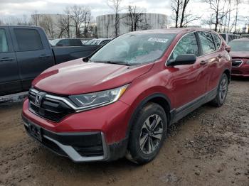  Salvage Honda Crv