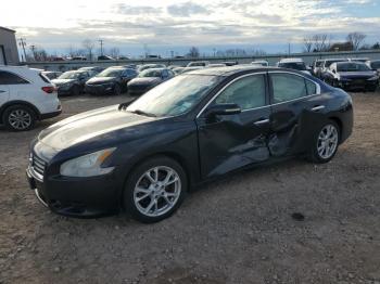  Salvage Nissan Maxima