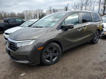  Salvage Honda Odyssey