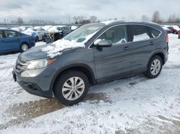  Salvage Honda Crv