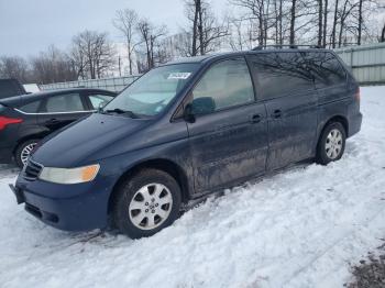  Salvage Honda Odyssey