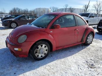  Salvage Volkswagen Beetle