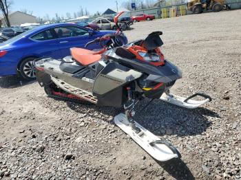  Salvage Ski-Doo Backcountr