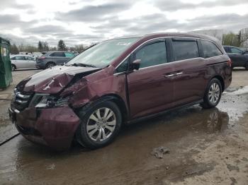  Salvage Honda Odyssey