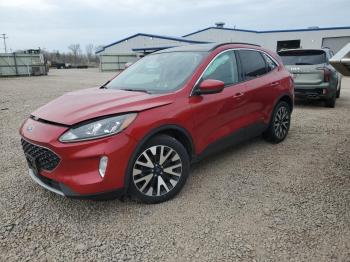  Salvage Ford Escape