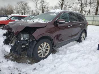  Salvage Kia Sorento