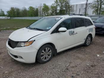  Salvage Honda Odyssey