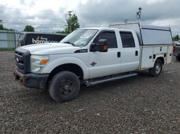  Salvage Ford F-250