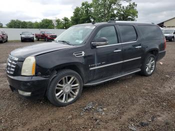  Salvage Cadillac Escalade