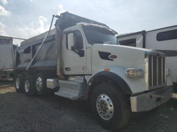  Salvage Peterbilt 567