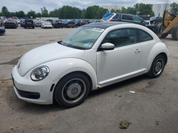  Salvage Volkswagen Beetle