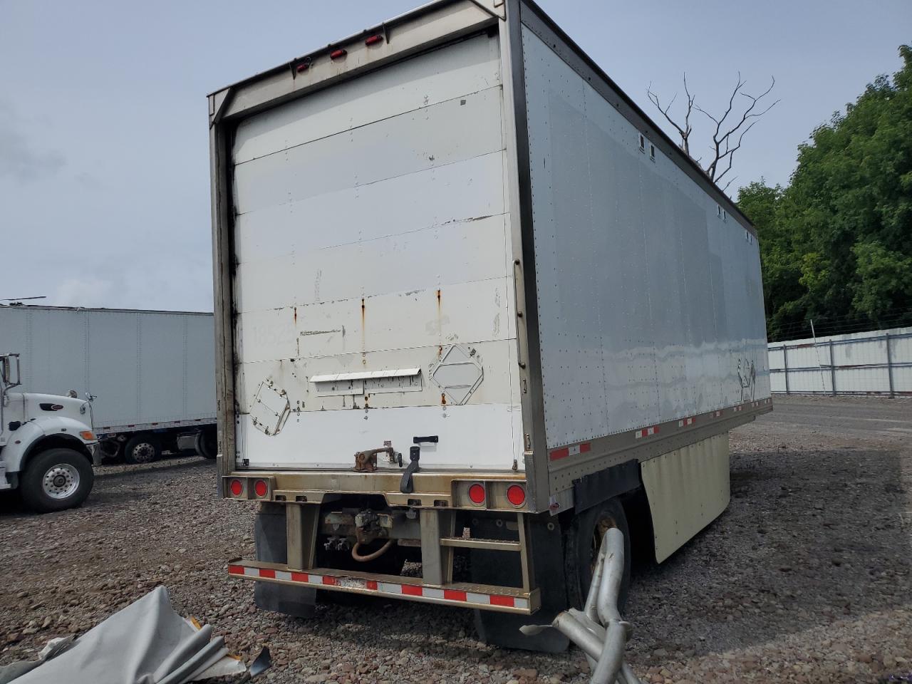 Great Dane Other Image 2