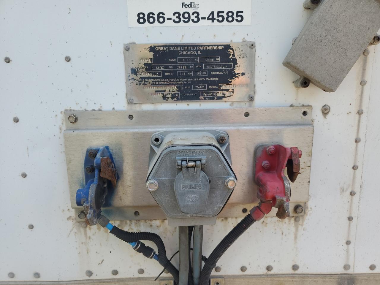 Great Dane Other Image 6