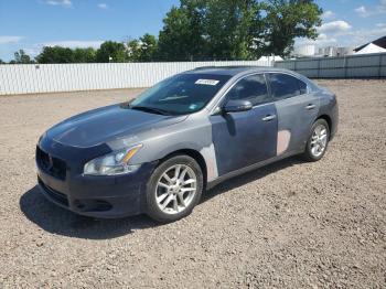  Salvage Nissan Maxima