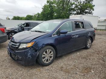  Salvage Honda Odyssey