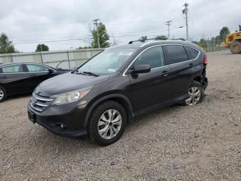  Salvage Honda Crv