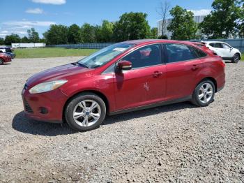  Salvage Ford Focus