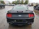 Ford Mustang Image 2