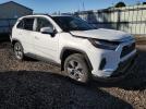 Toyota RAV4 Xle Image 9