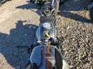 Cf Moto 300ss Image 7