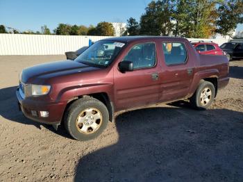  Salvage Hond Ridgeline