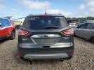 Ford Escape Titanium Image 2