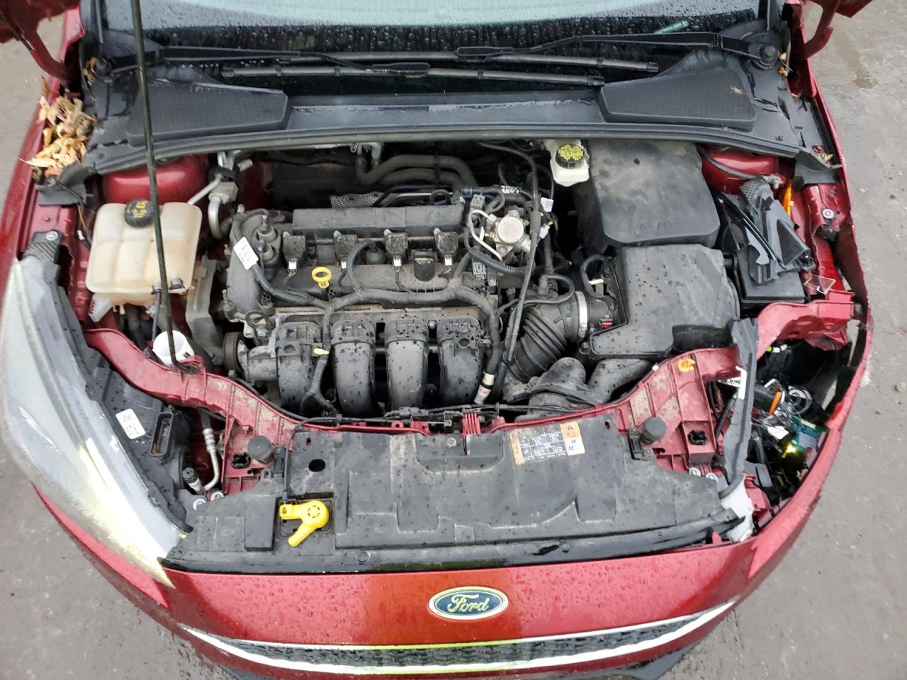 Ford Focus Sel Image 10