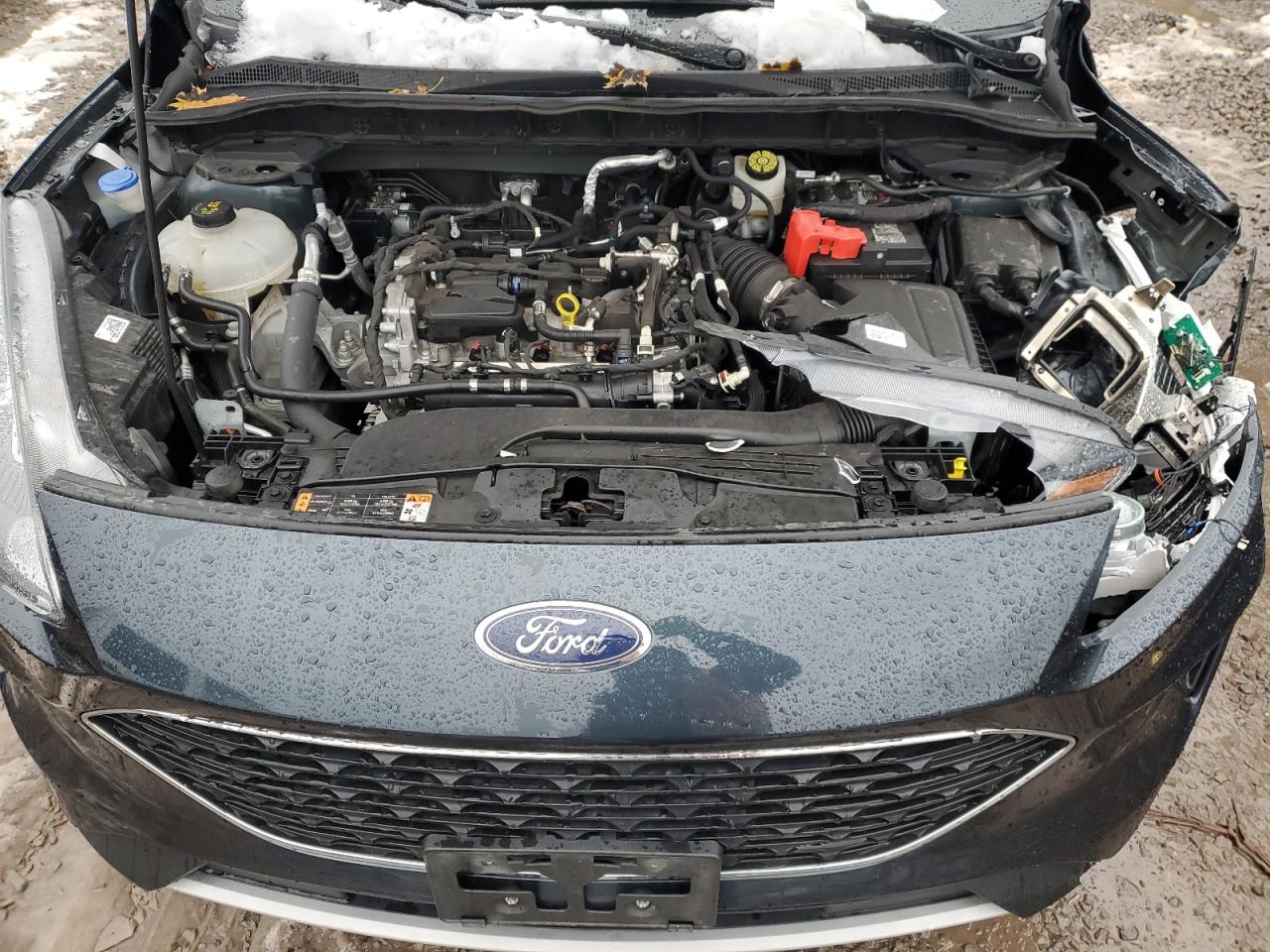 Ford Escape Se Image 11