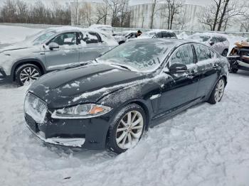  Salvage Jaguar XF