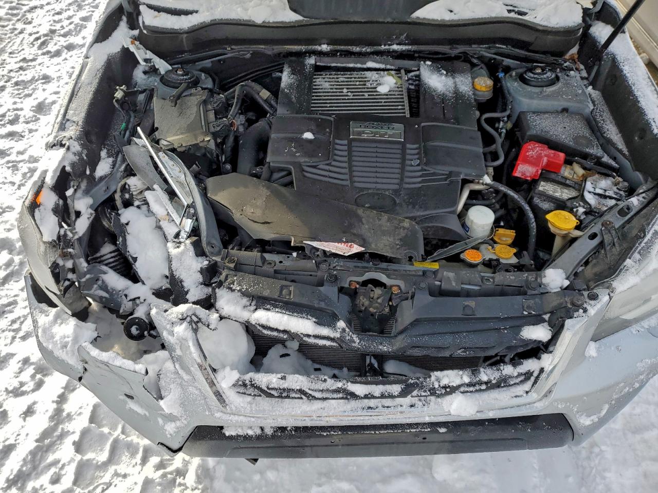 Subaru Forester 2.0xt Touring Image 9