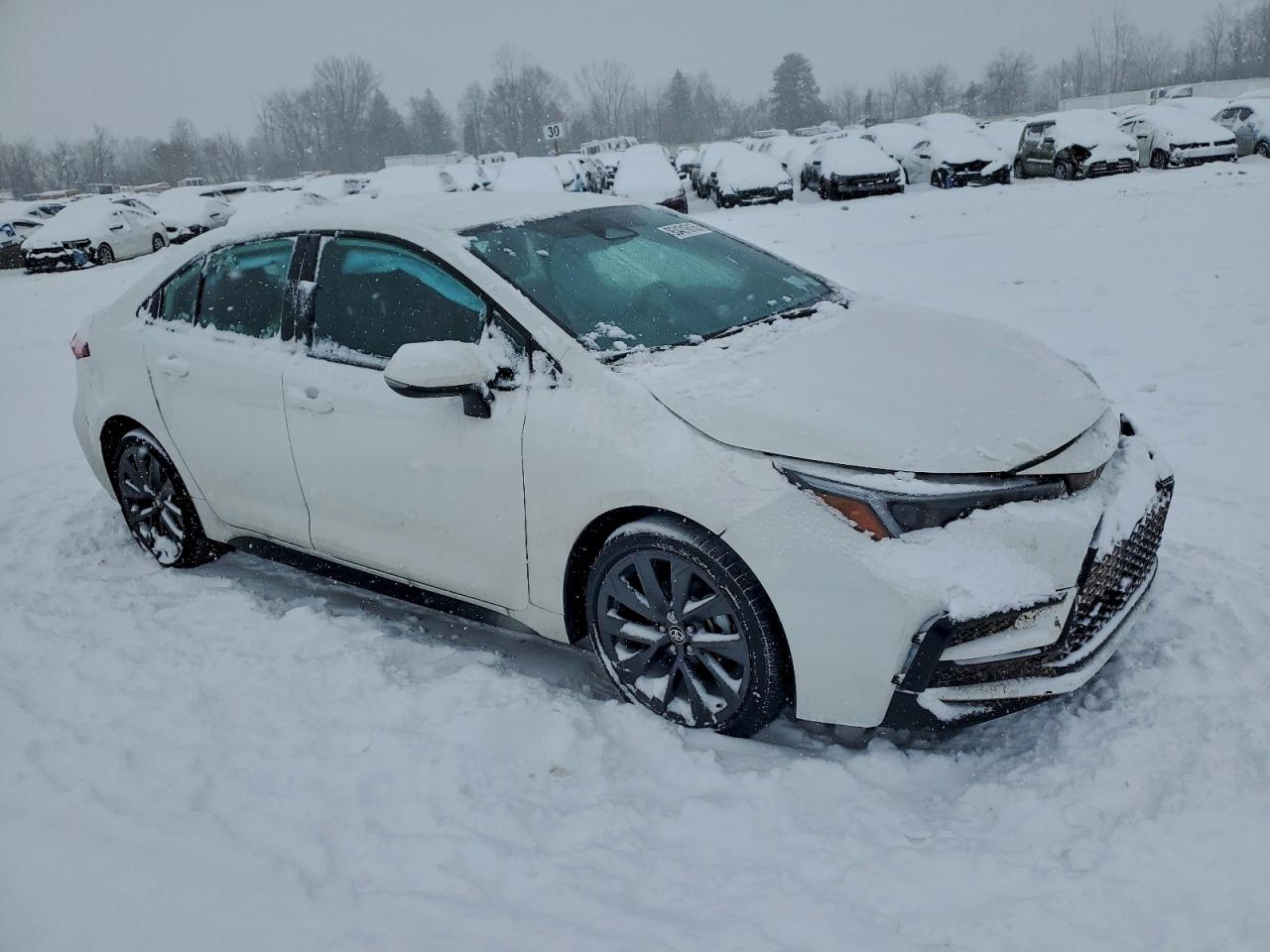 Toyota Corolla Se Image 8