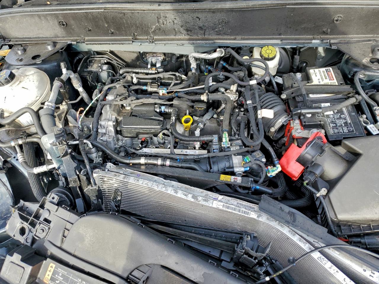 Ford Bronco Big Bend Image 7