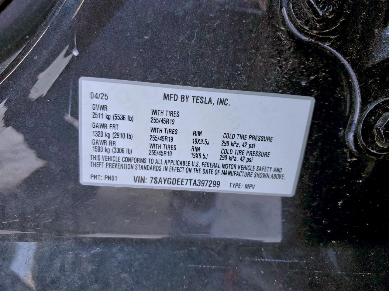 Tesla Model Y Image 7