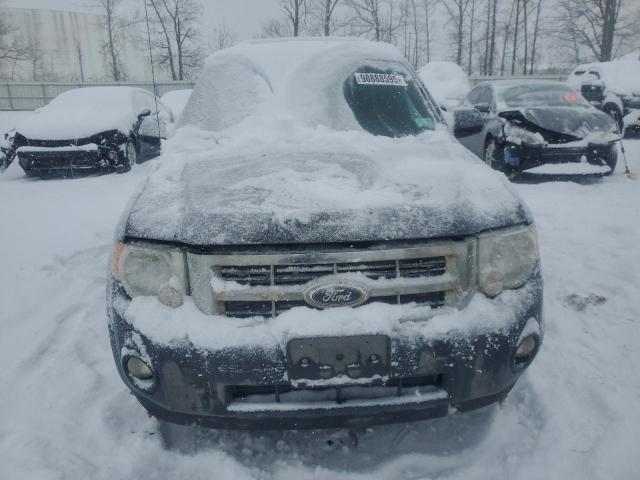 Ford Escape Xlt Image 5