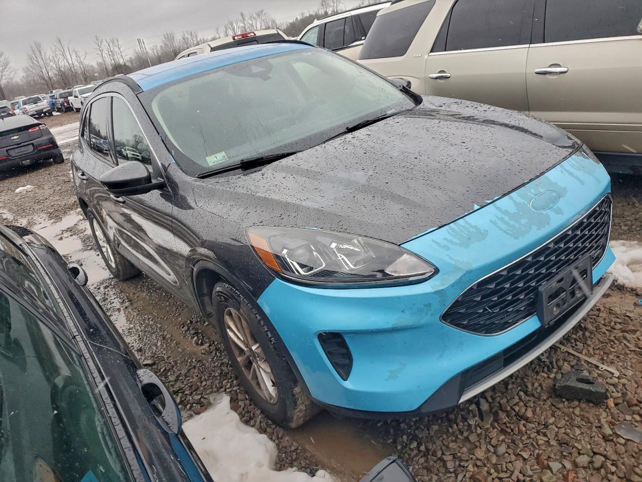 Ford Escape Se Image 5