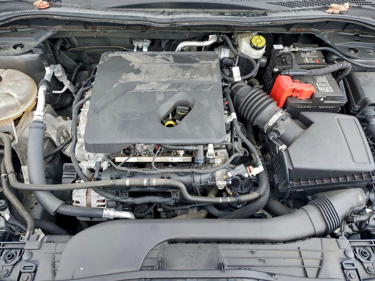 Ford Escape Se Image 11