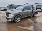 Dodge Ram 1500 Image 1